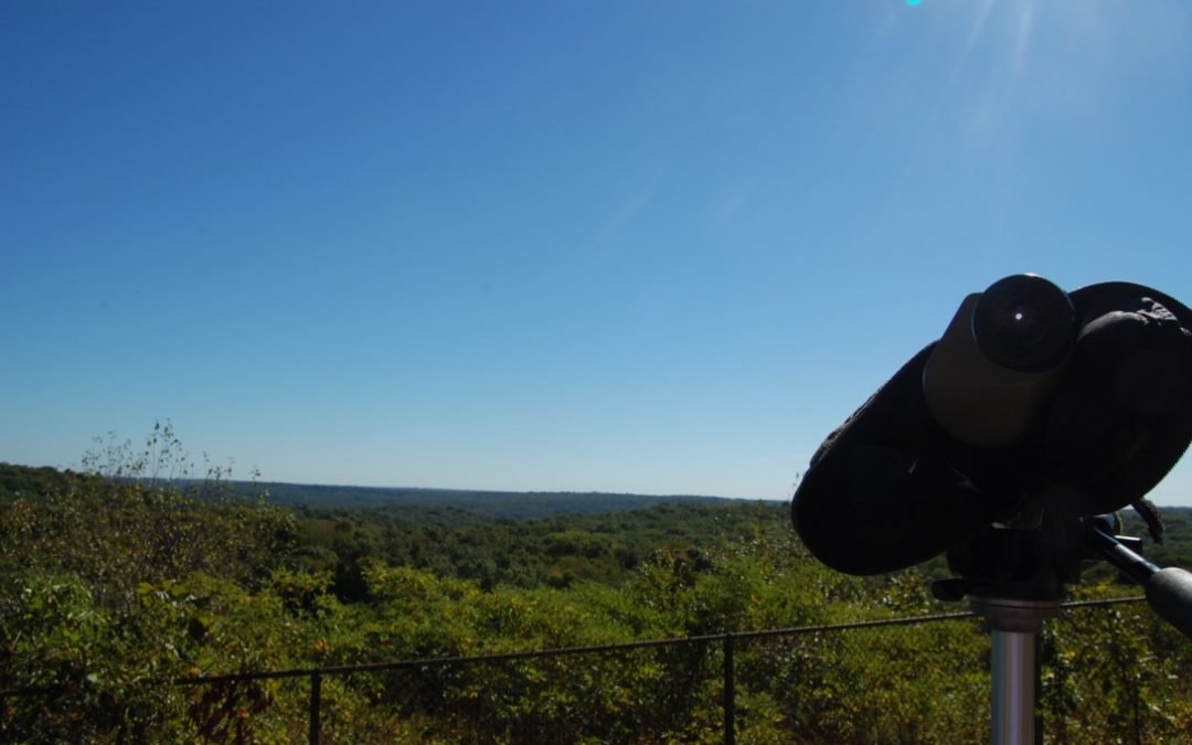 Chestnut Ridge HawkWatch