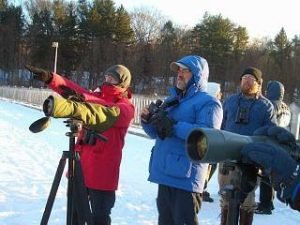 Eagle Watching