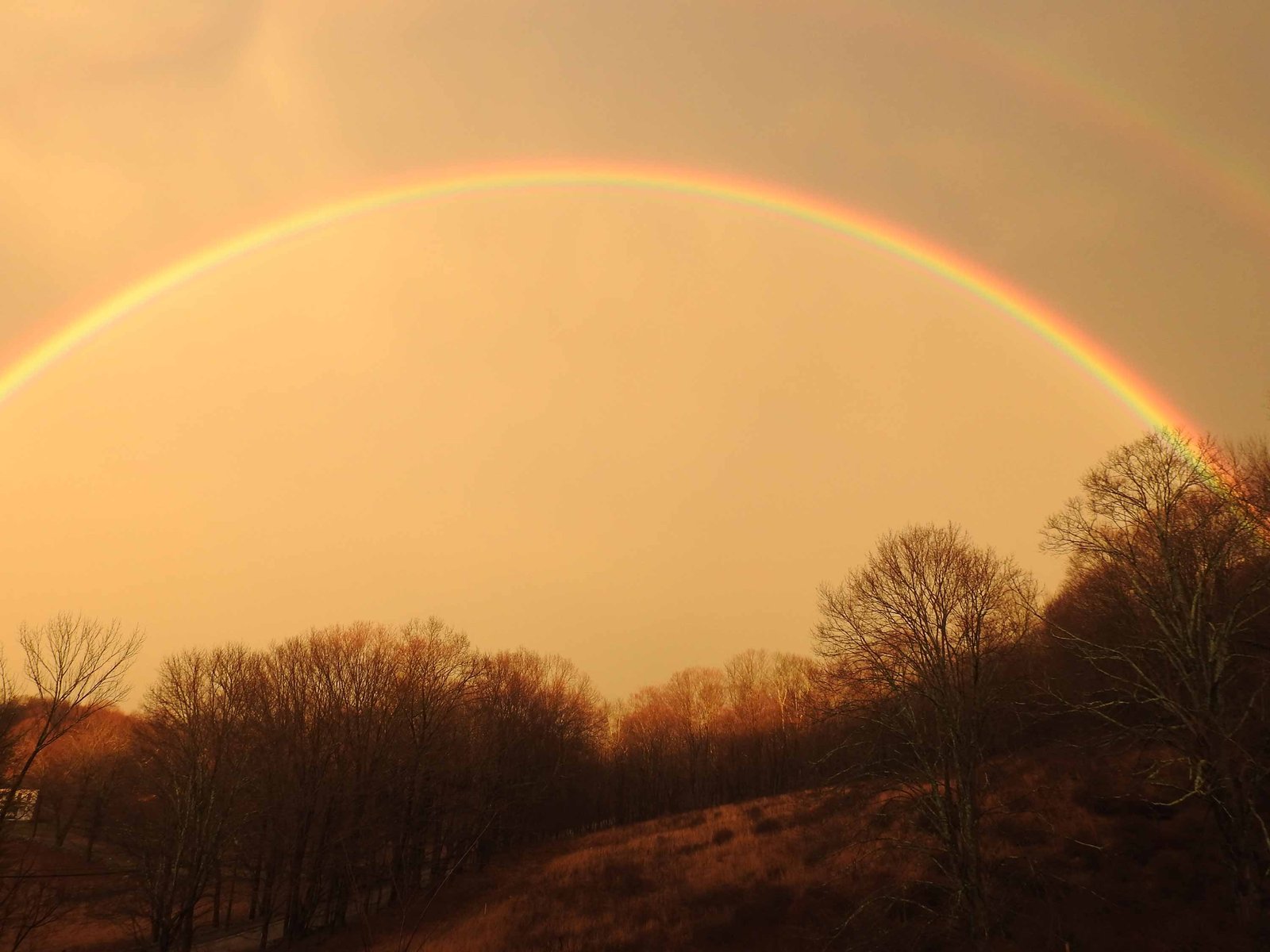 Hunt Parker Rainbow by Tait Johansson