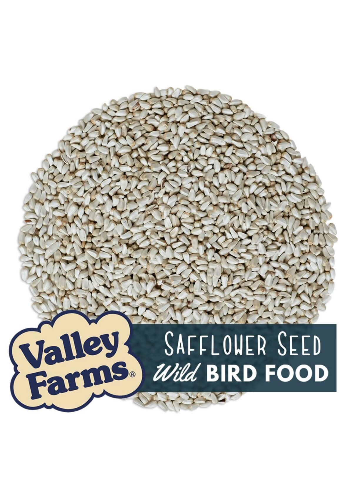 Safflower Seed - Image 2