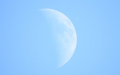 July Nature Almanac: What to Look for this Month