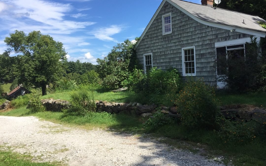 Rent the “Gray Owl” Cottage on our Hunt-Parker Sanctuary