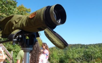 Welcome Silvan & Charlotte to the HawkWatch Team!