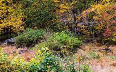 Thankful for you: Thank you to Mathew McDowell!