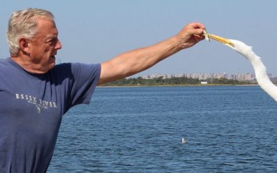 Lecture: Don Riepe on Jamaica Bay