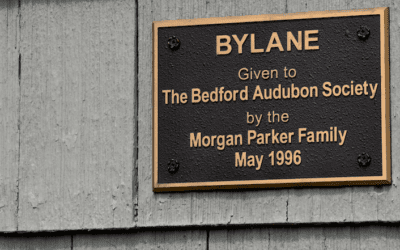 Bylane “Virtual” Book Club: Flight Behavior