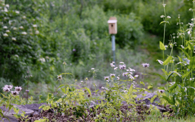 A Message from our Teen Council President