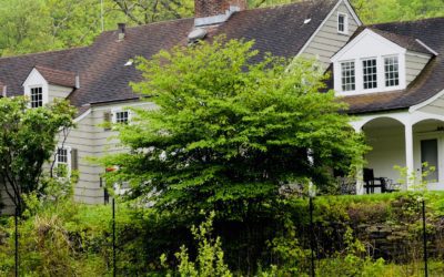 Bylane  Book Club: North on the Wing: Travels with the Songbird Migration of Spring