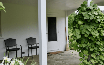 Summer Growth: July Environmental Education