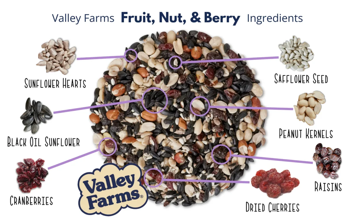 Fruit, Nut & Berry Mix (Staff Pick) - Image 2