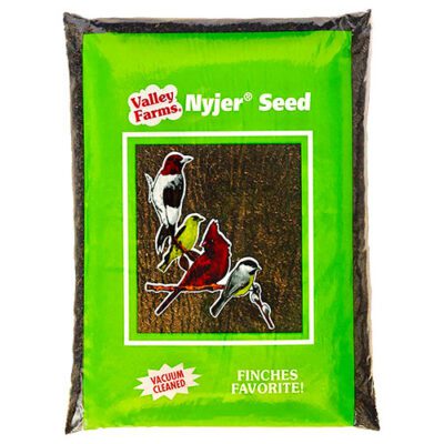 Nyjer Seed