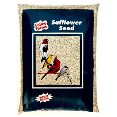 Safflower Seed