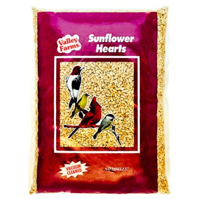 Sunflower Hearts