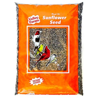 Black Oil Sunflower Seed