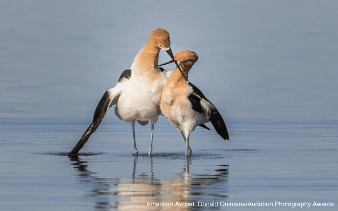 Love Is… February Nature Programs