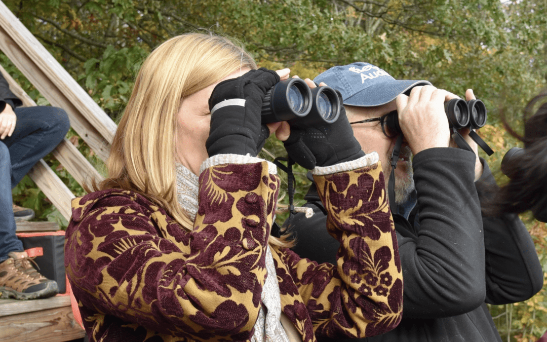 2023 Year-end Appeal: What Bedford Audubon Means to our Program Registrar