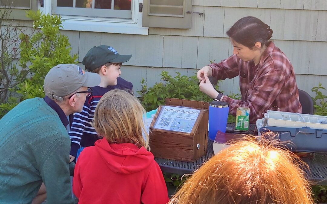 Bird Banding Demonstration at Bylane Farm