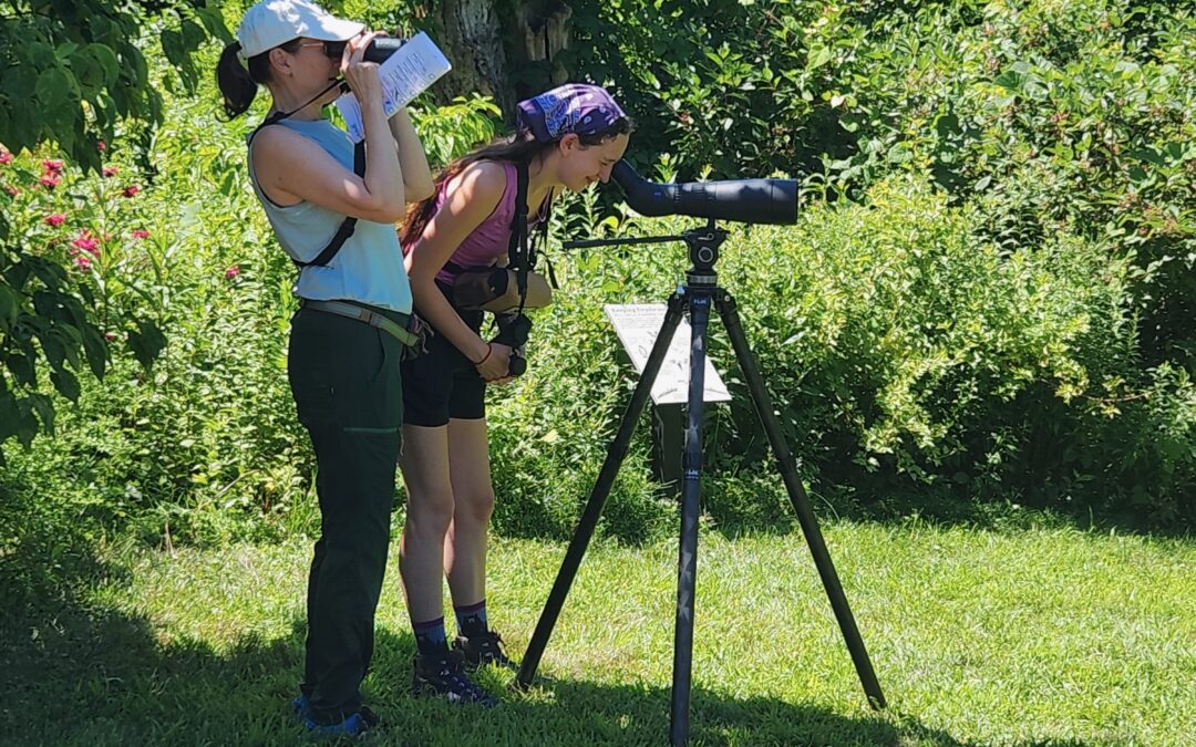 Sunday Afternoon in the Park with Bedford Audubon