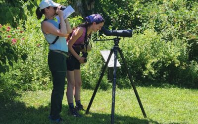 Sunday Afternoon in the Park with Bedford Audubon