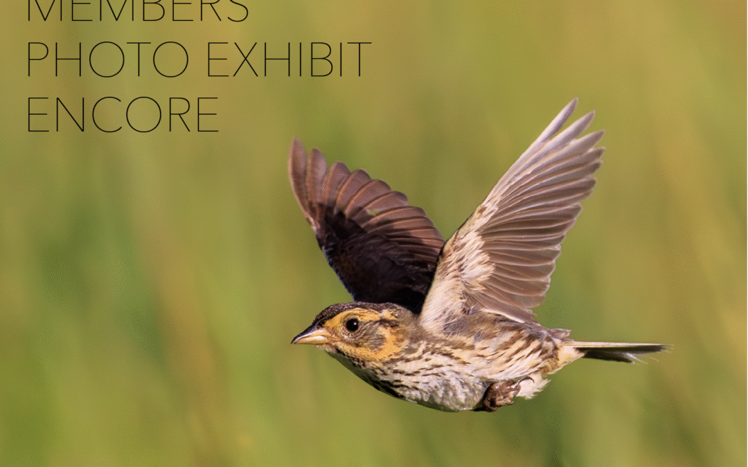 Members' Photo Exhibit Poster - Mount Kisco