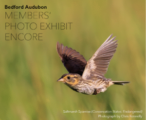 Members' Photo Exhibit Poster - Mount Kisco