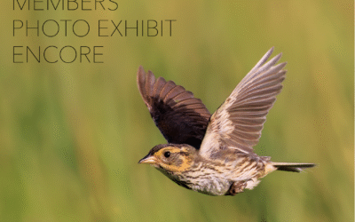 Members’ Photo Exhibit at the Mount Kisco Library 2025