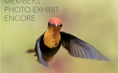 Members’ Photo Exhibit at the Somers Library 2025