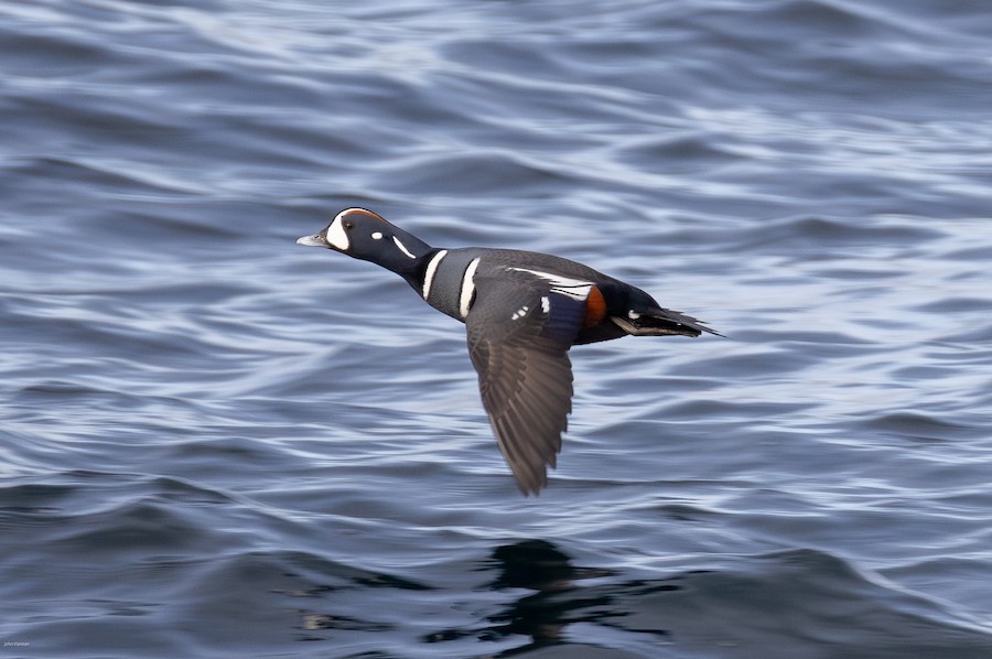 December Discoveries: New Ways to Explore, Learn & Connect