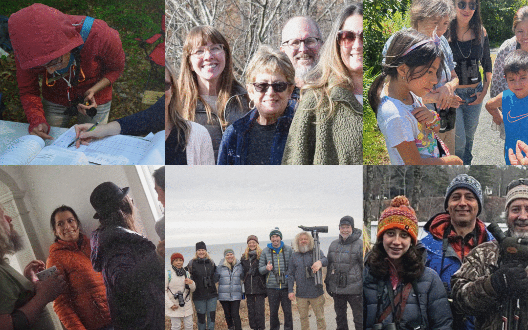 Voices of Bedford Audubon – 2025 Roundup