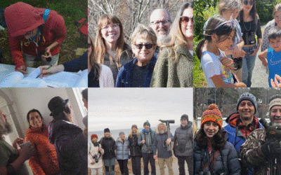 Voices of Bedford Audubon – 2025 Roundup