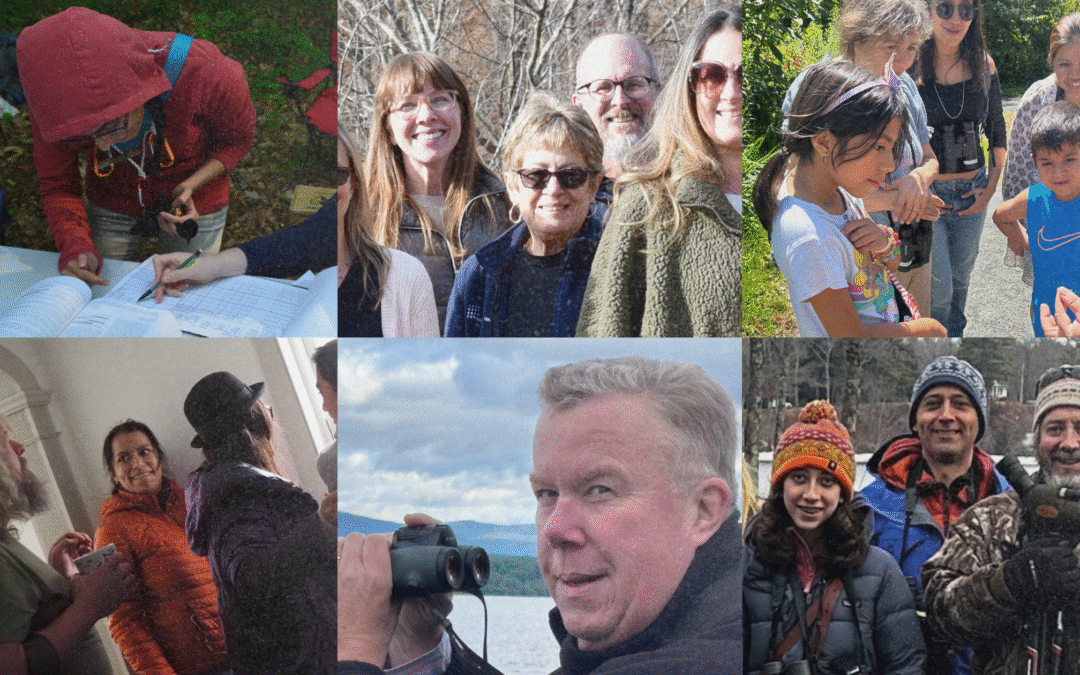 Voices of Bedford Audubon – 2025 Roundup