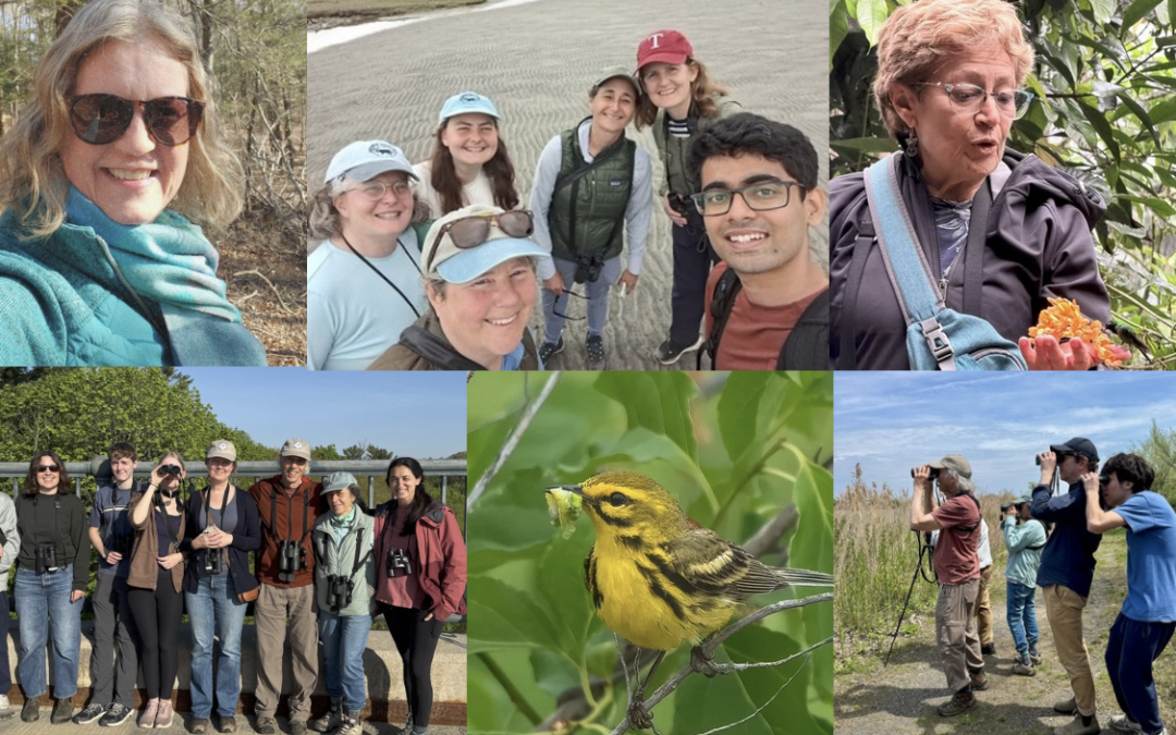 Bird-A-Thon Roundup